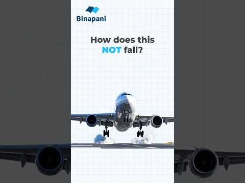 How Do Airplanes Fly? | Bernoulli’s Principle & Newton’s Laws Explained | #shorts