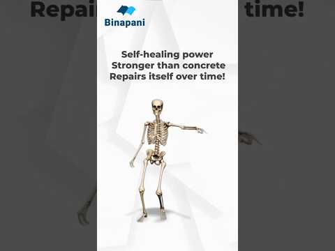 Human Bone Is 4× Stronger Than Concrete | #shorts